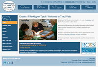 Tysul Vets front page of website